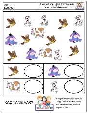 okul öncesi sayılar çalışma sayfaları